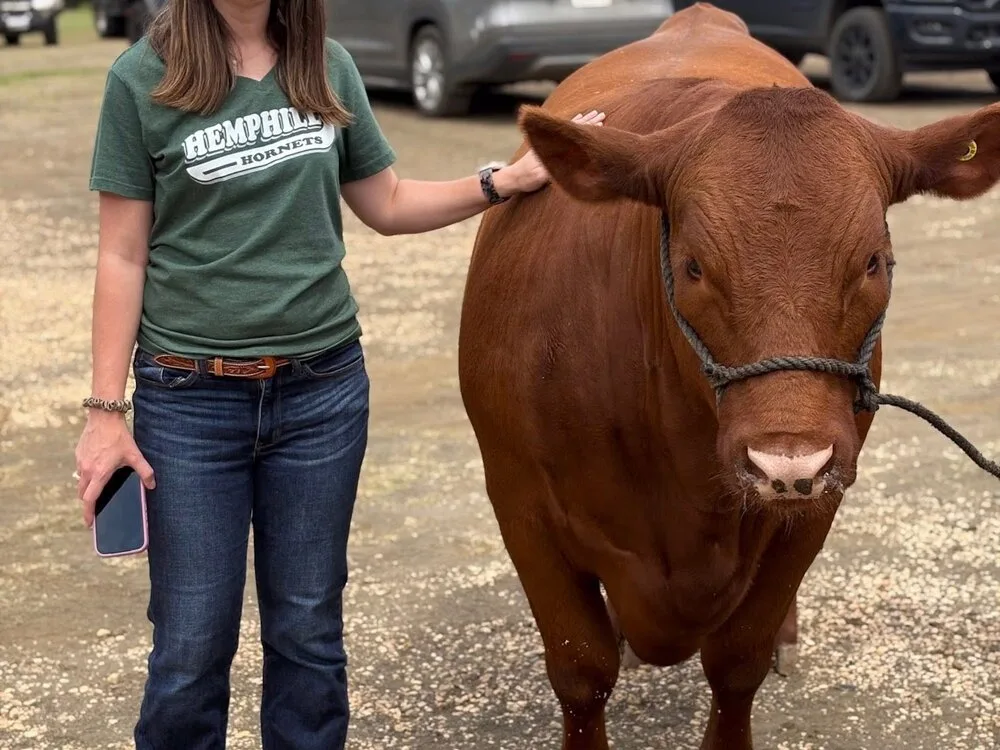 A Hemphill volunteer working the ring at the Sabine County Junior Livestock Show